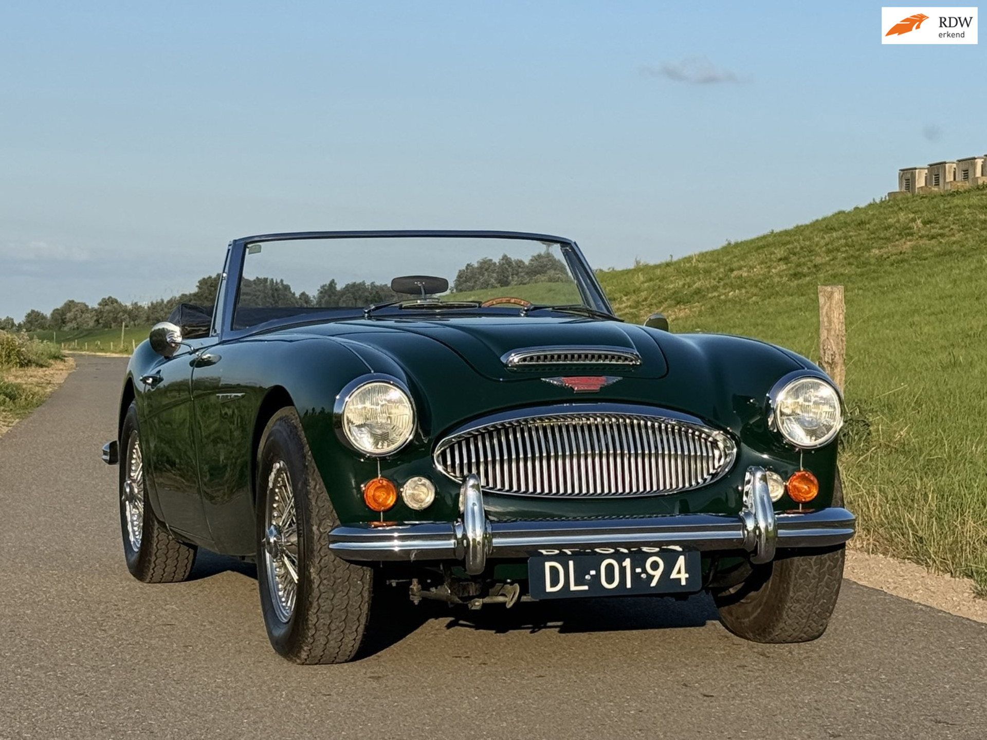 55096995